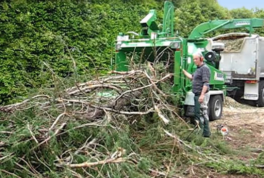 tree chipping
