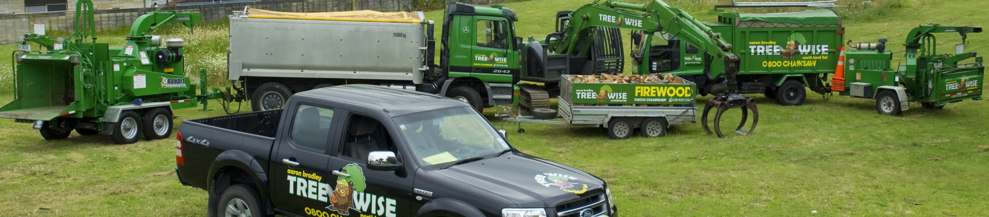 Qualified and experienced Aborists Northland