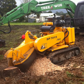 Stump grinder removing a stump