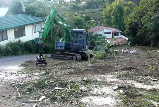 section clearing